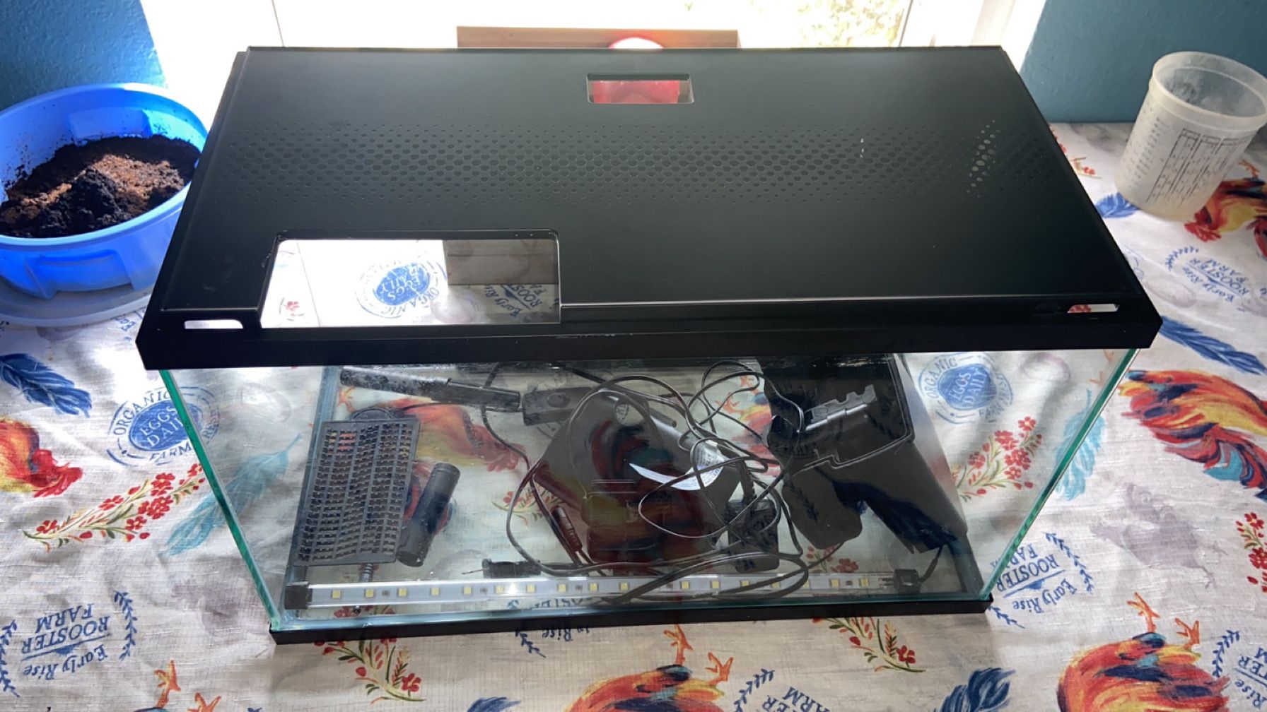 Well Loved Fish Tank