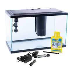 5 Gallon Glofish Tank