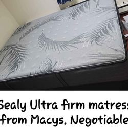 Sealy Ultra Firm Matress Queen NEGOTIABLE 