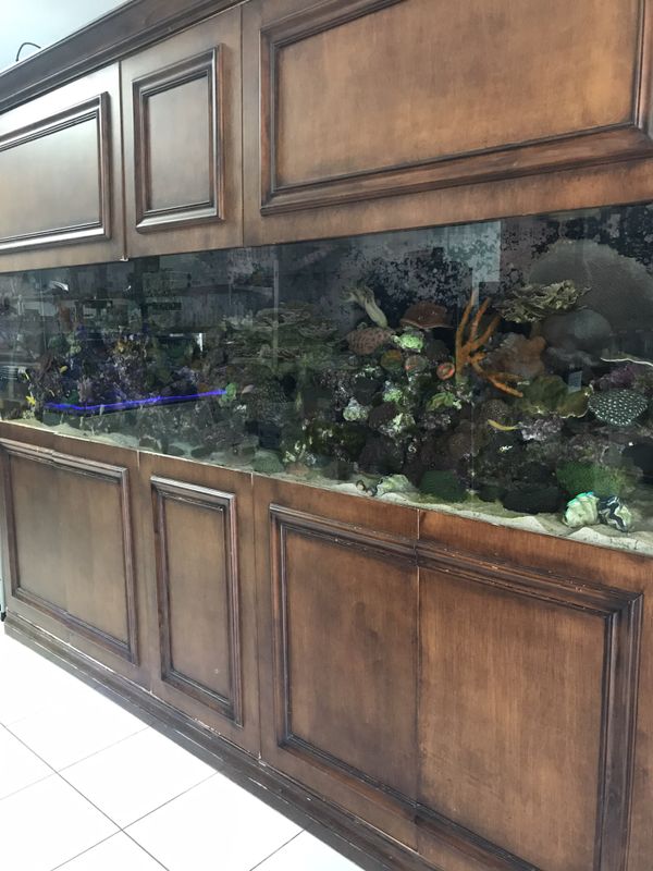 400 Gallon Saltwater Aquarium for Sale in Fort Myers, FL OfferUp