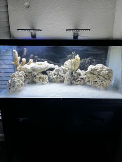 Saltwater Aquarium setup for sale!