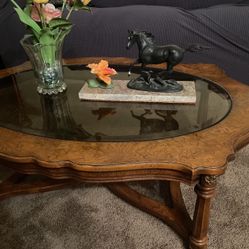 Glass & Wood Coffee Table