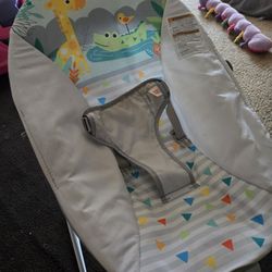Baby Bouncer