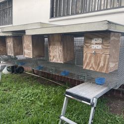 Bird Breeding Cage, Jaula 