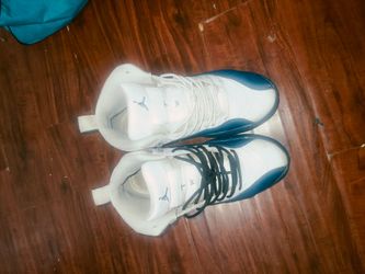 Air Jordan 12