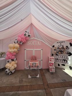 Party Backdrop