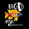 @BigDvsFish