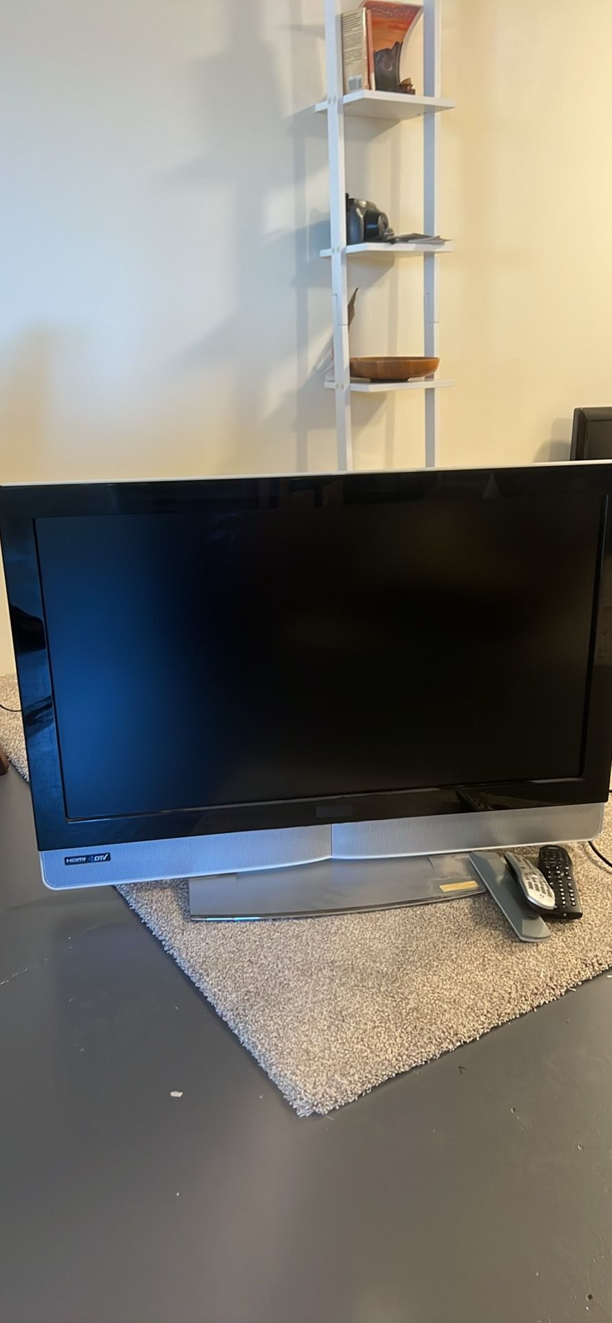 Flat Screen TV