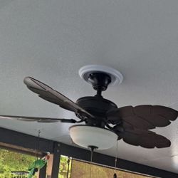 Ceiling Fan with Light 