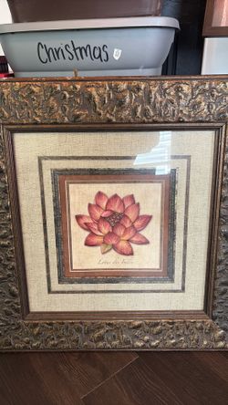 Lotus Flower picture