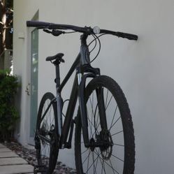 Bike Giant Roam 2 for Sale in Miami FL OfferUp