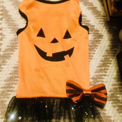 Pet Pumpkin costume