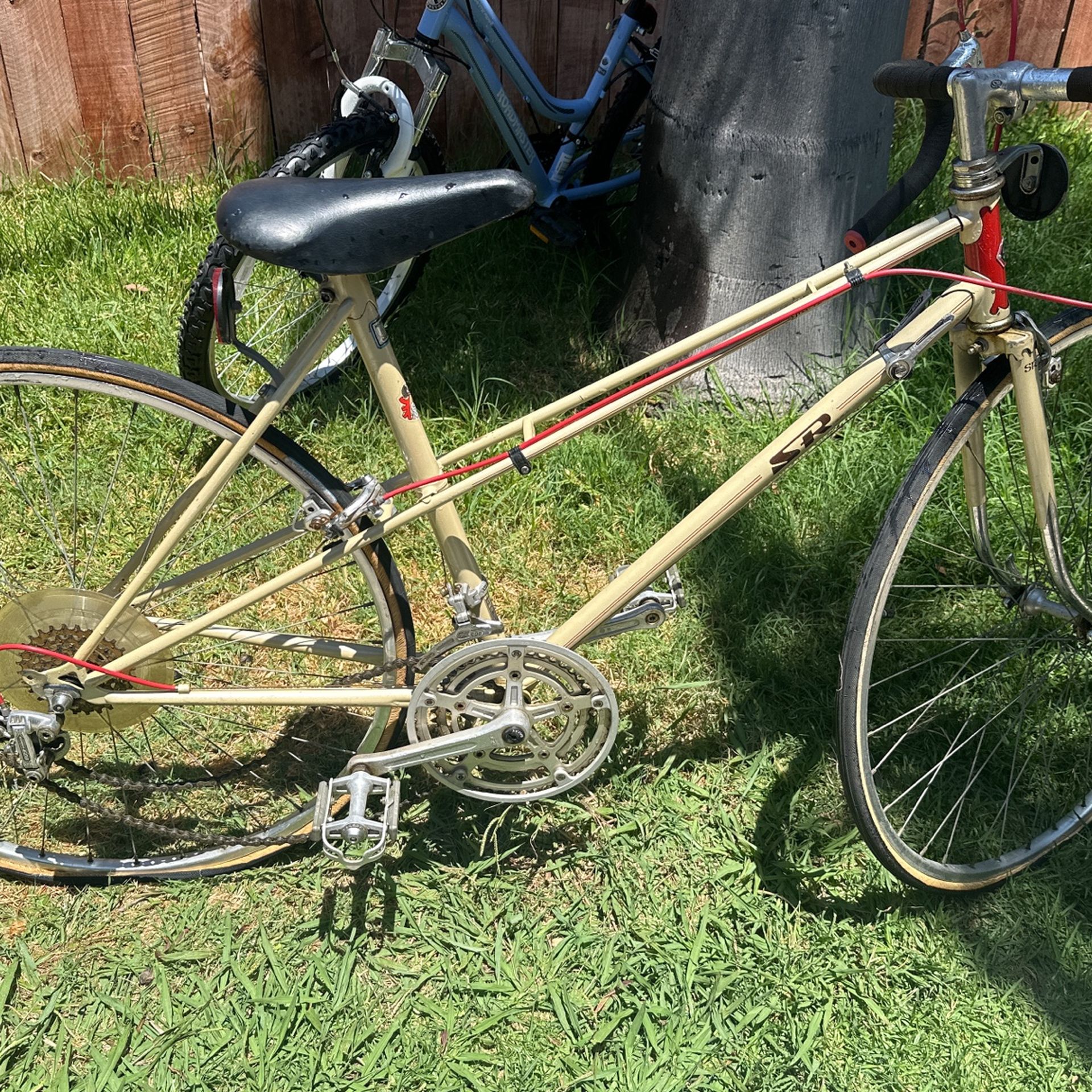 Bike