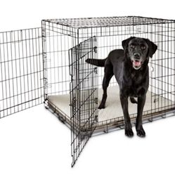 Dog Kennel