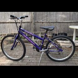 24”  Bike At Cambridge 