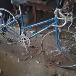 Schwinn Spirit Bicycle 