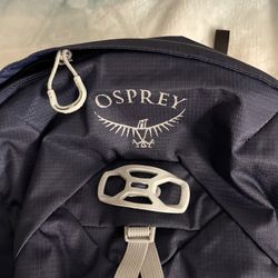 Osprey Talon 22 Backpack New