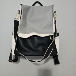 Backpack Purse