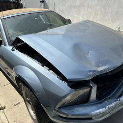 2006 Ford Mustang