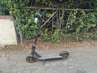 Ninebot max (g30)