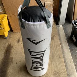Everlast Heavy Punching Bag – Great Condition – Ready to Use