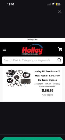 Holly Terminator X