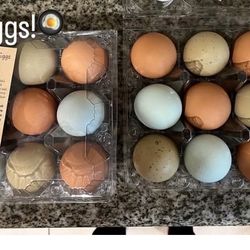 Farm Fresh Eggs,  