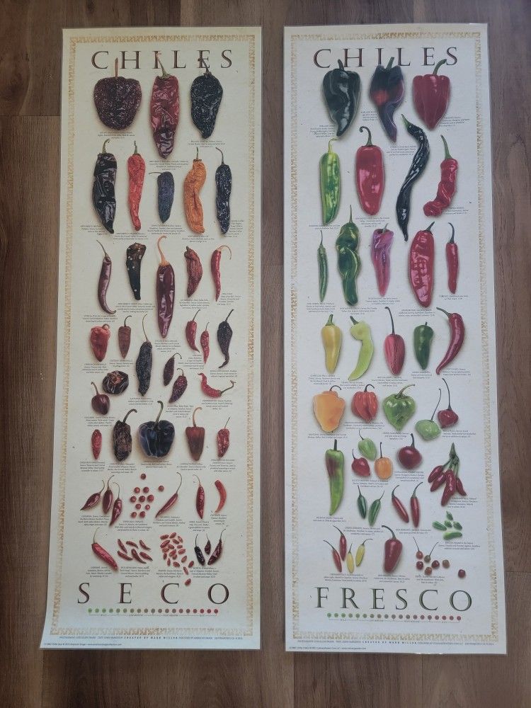 Brand New Chile Posters Fresco (Fresh) And Seco (Dried)
