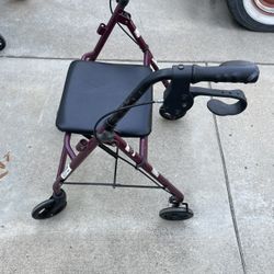 Elderly Walker