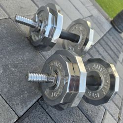 RARE Sports Authority Chrome Weight Plates - 1" Standard - (Pair)