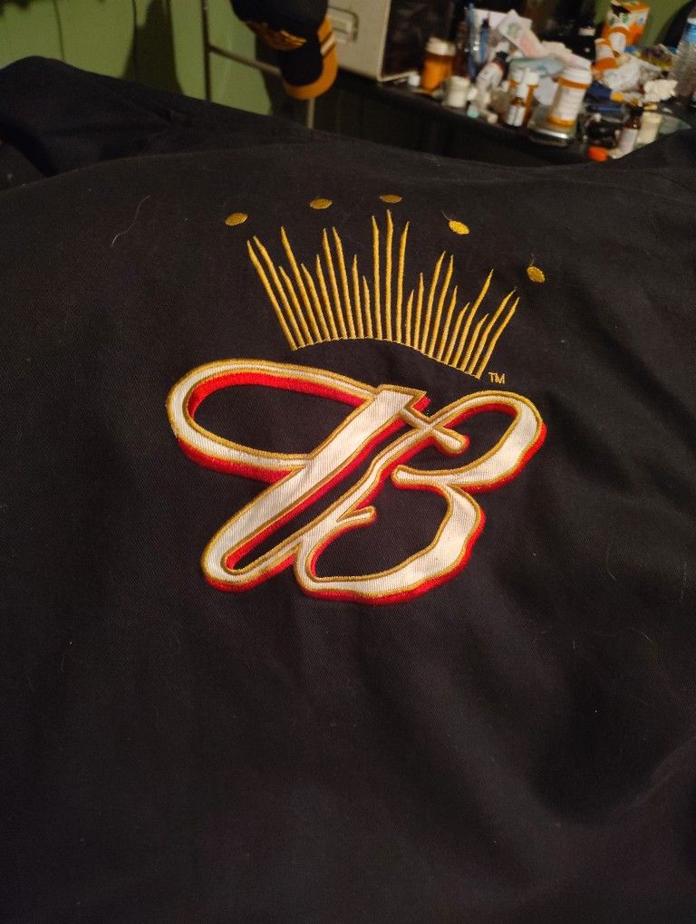 DALE EARNHARDT JR BUDWEISER JACKET