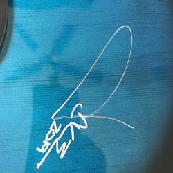  Guitar  Autographed By jake Owen   IBANEZ BRAND NEW