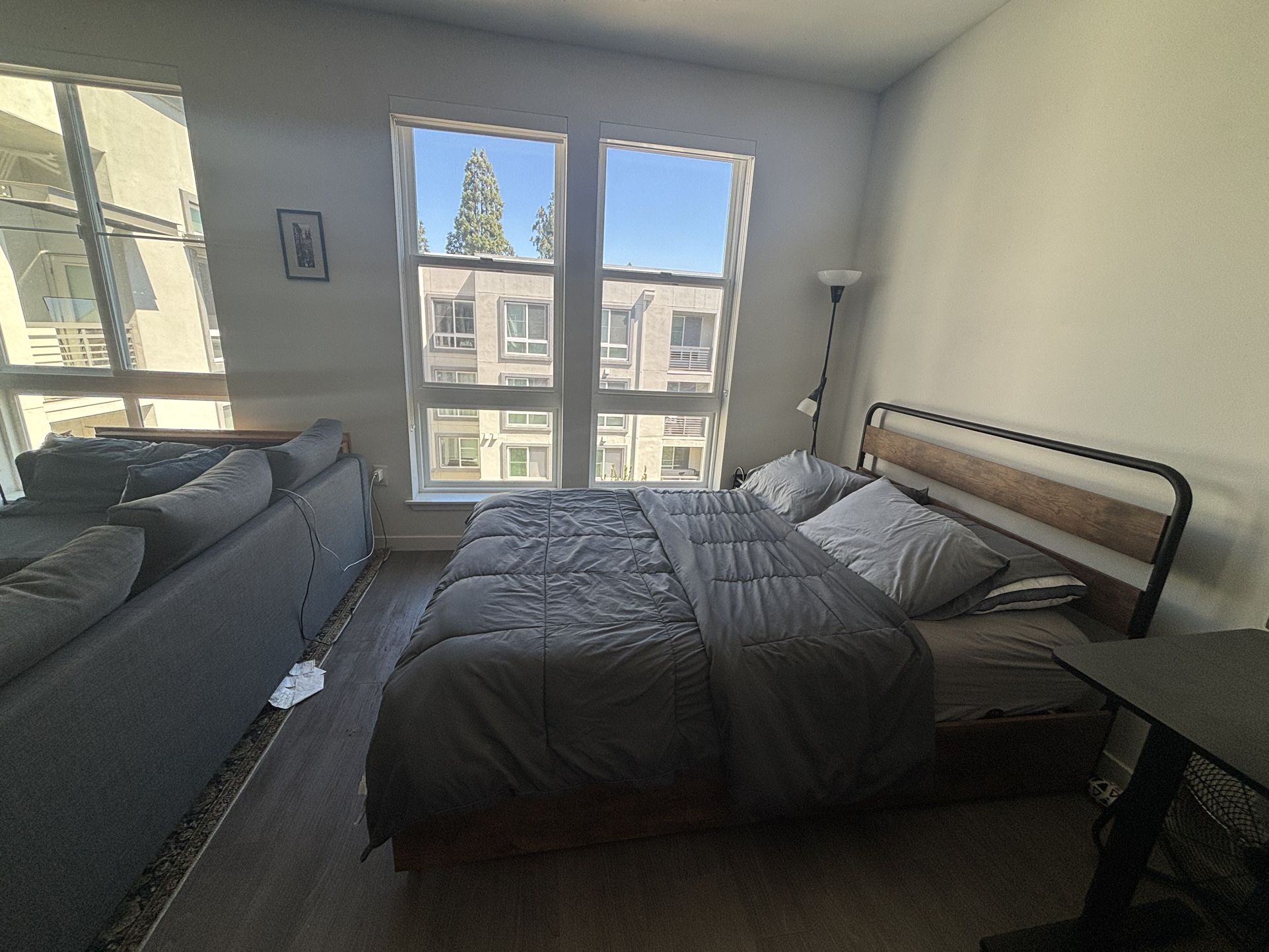 Queen Sofa Bed frame + Mattress