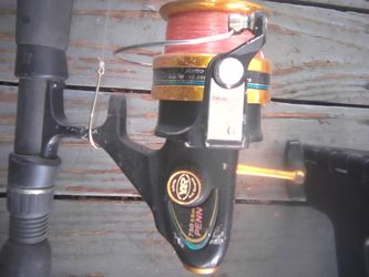 PENN REEL AND STAR STELLAR ROD
