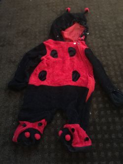 Lady bug costumes
