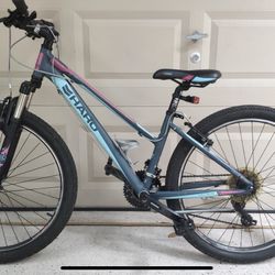 HARO Flightline One ST  24”