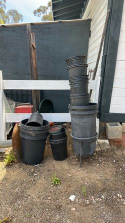 Free plant pots