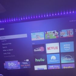 Roku Projector 