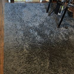 Nicole Miller Blue shag rug  (5‘2 X 7‘2)