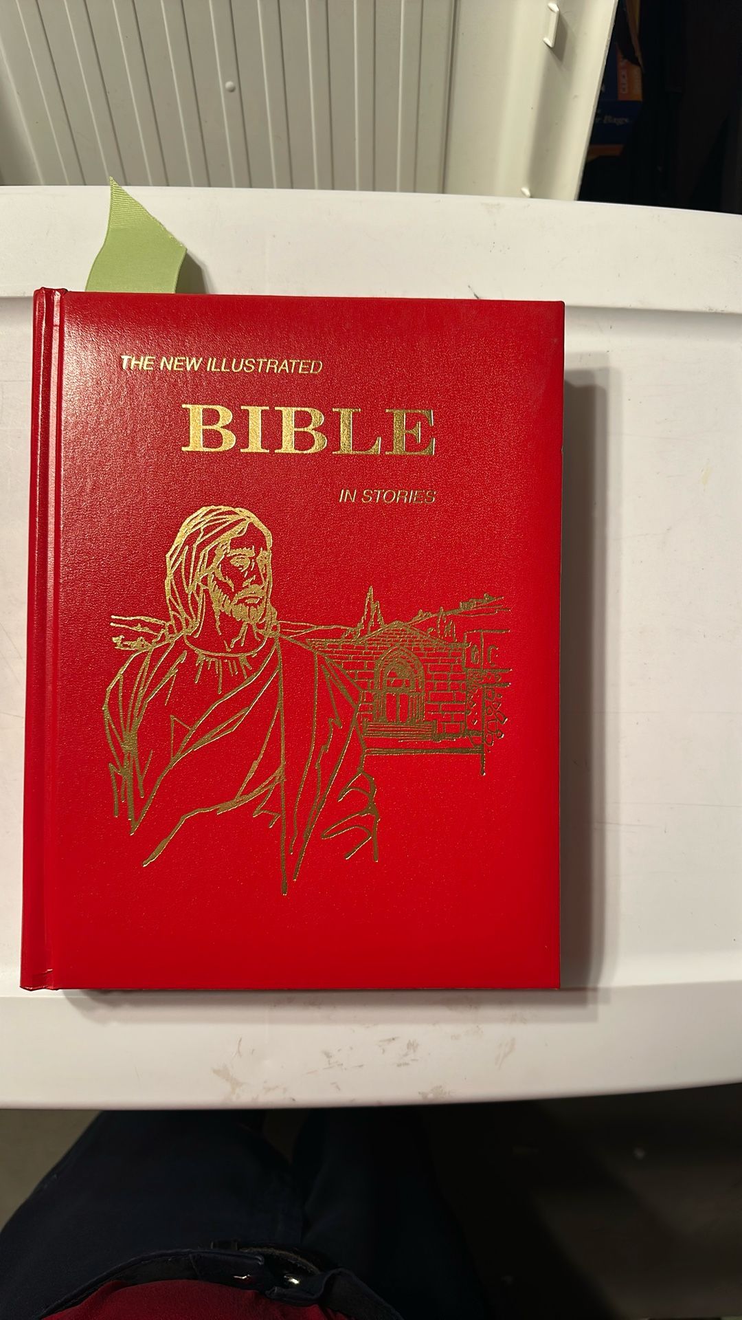The New Illustrated Bible in Stories