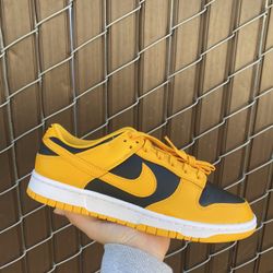 Nike Dunk Low Goldenrod Size 10.5