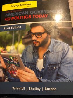 American government and politics today