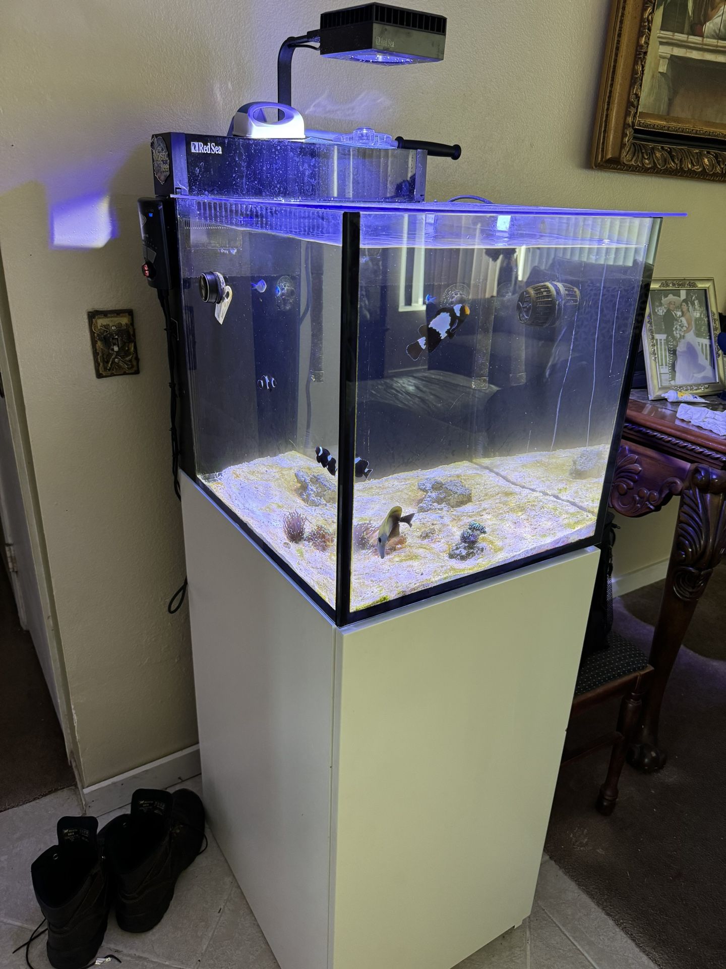 Red Sea for Sale in Riverside, CA OfferUp