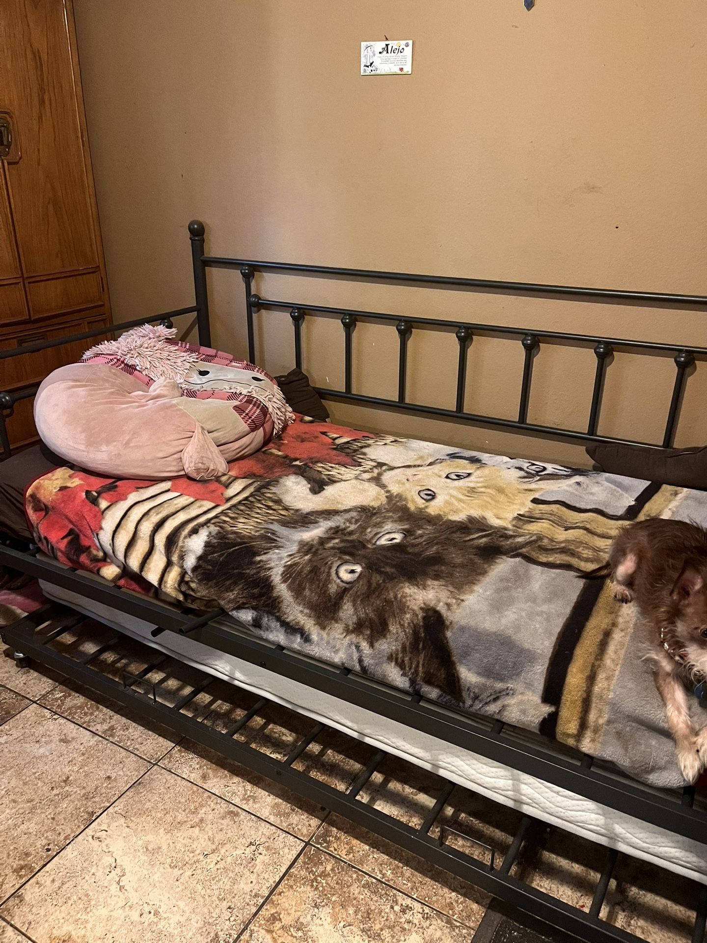 TRUNDLE BED - Pull Out Twin Bed ( Sleeps Two )