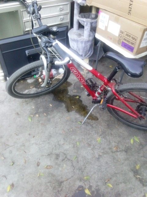Giant Mountain Bike