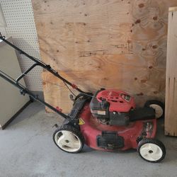 Roto Lawnmower 