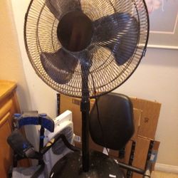 Black Fan