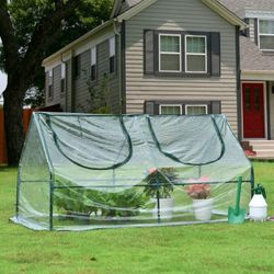 Mini Greenhouse 