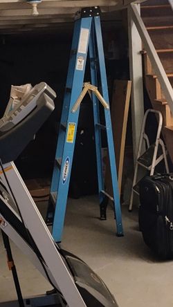 6 foot ladder
