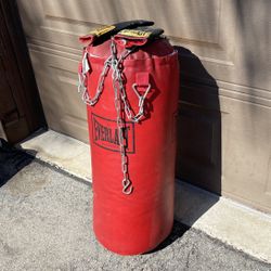 Everlast Punching Bag With Bag Gloves And Chain Mount 